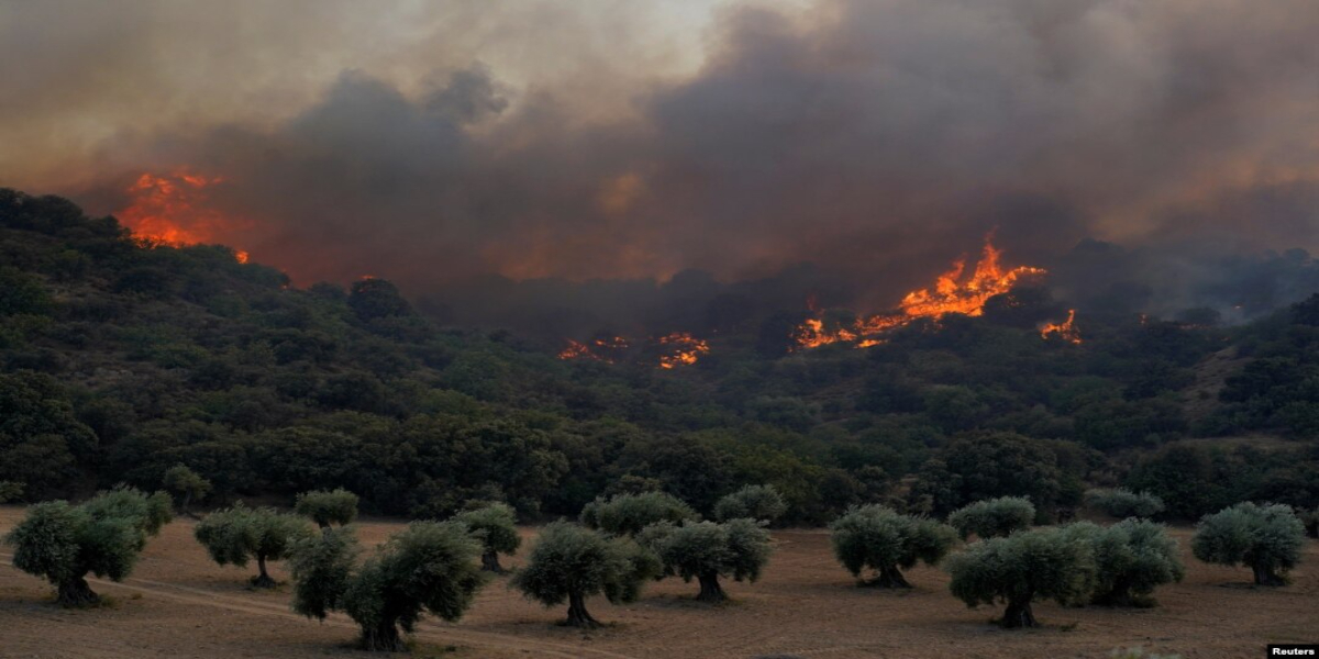 شدید گرمی کے باعث یورپ کے کئی ممالک کے جنگلات میں آگ بھڑک اٹھی