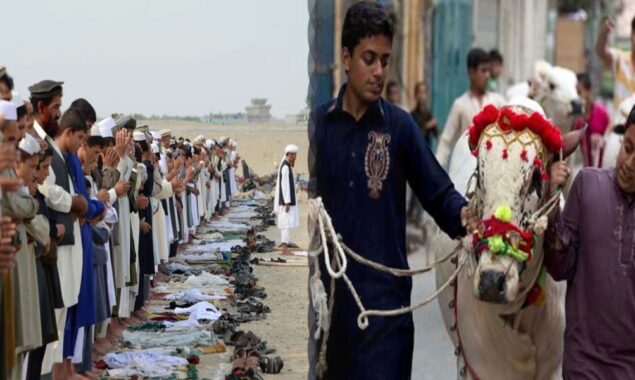 عید الاضحیٰ