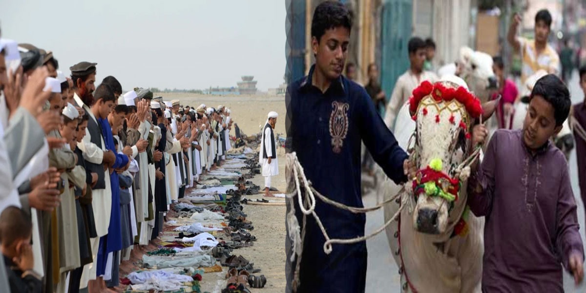 عید الاضحیٰ