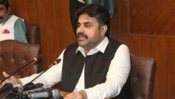 ناصر حسین شاہ