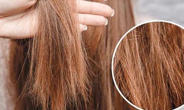 hair