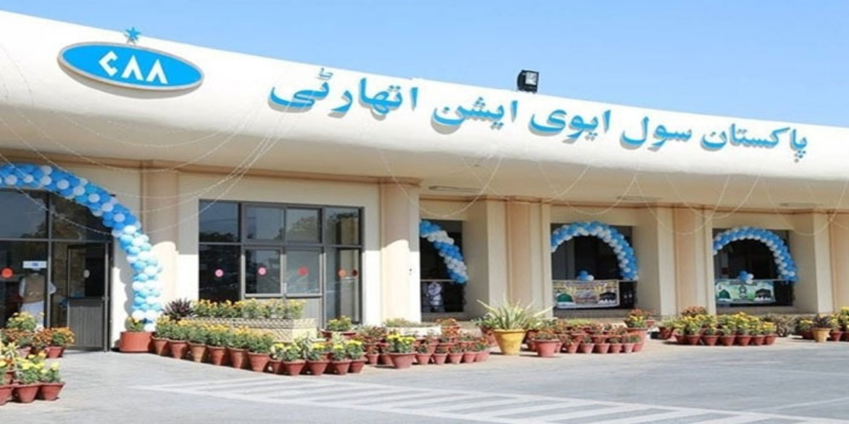 سی اے اے