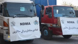 این ڈی ایم اے