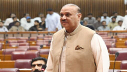 راجہ ریاض