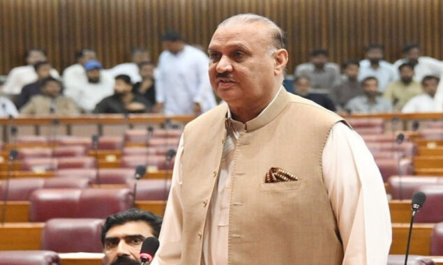 راجہ ریاض