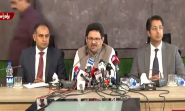 وزیر خزانہ مفتاح اسماعیل