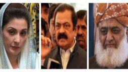 مریم نواز، راناثنااللہ، مولانا فضل الرحمان