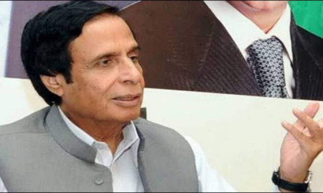 وزیراعلیٰ پنجاب