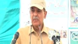 وزیراعظم شہباز شریف