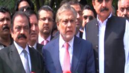 وزیر خزانہ اسحاق ڈار