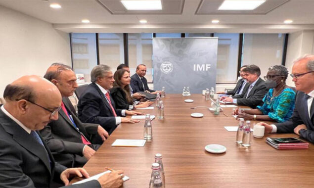 وزیر خزانہ اسحاق ڈار