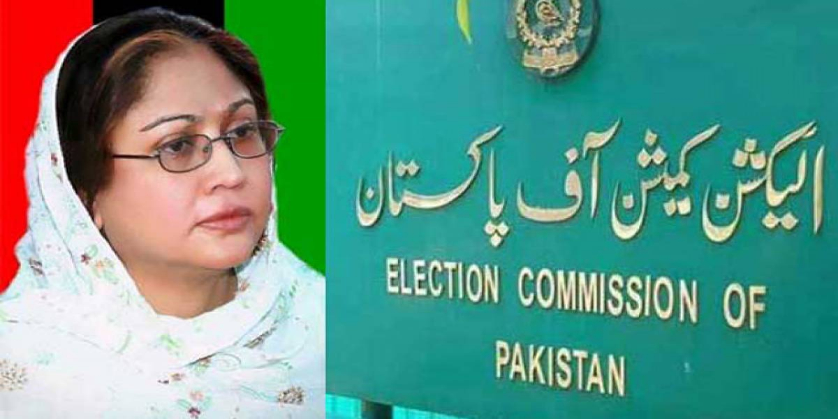 فریال تالپور نااہلی کیس