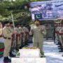نائیک سیف علی