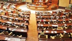 سندھ اسمبلی