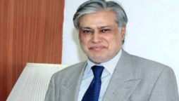 وزیر خزانہ اسحاق ڈار