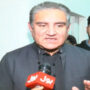 شاہ محمود