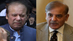 شہباز شریف، نواز شریف