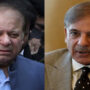 شہباز شریف، نواز شریف