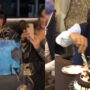 عمران خان