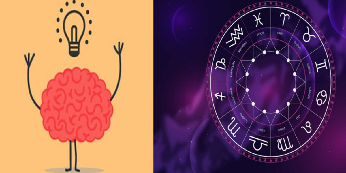 سب سے زیادہ ذہانت