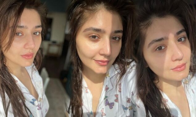 اداکارہ درفشاں سلیم