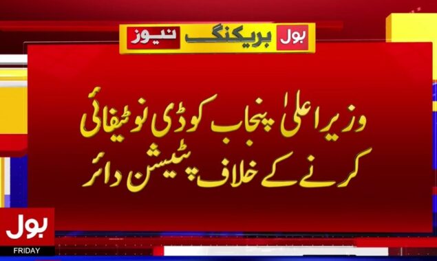 وزیراعلیٰ پنجاب