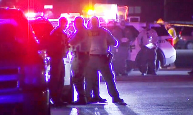 کیلی فورنیا