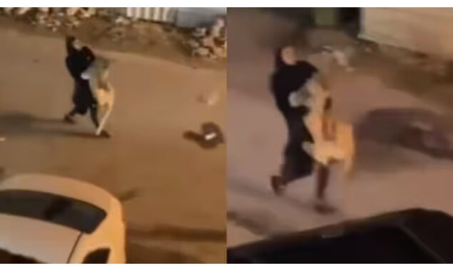 شیر