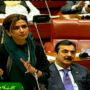 حنا ربانی کھر