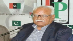 وقار مہدی
