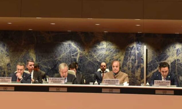 عالمی برادری