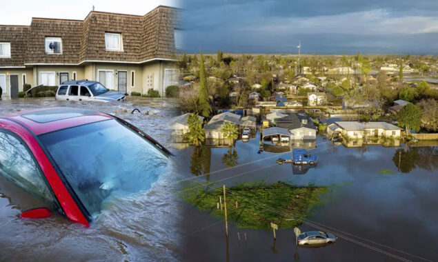 کیلی فورنیا