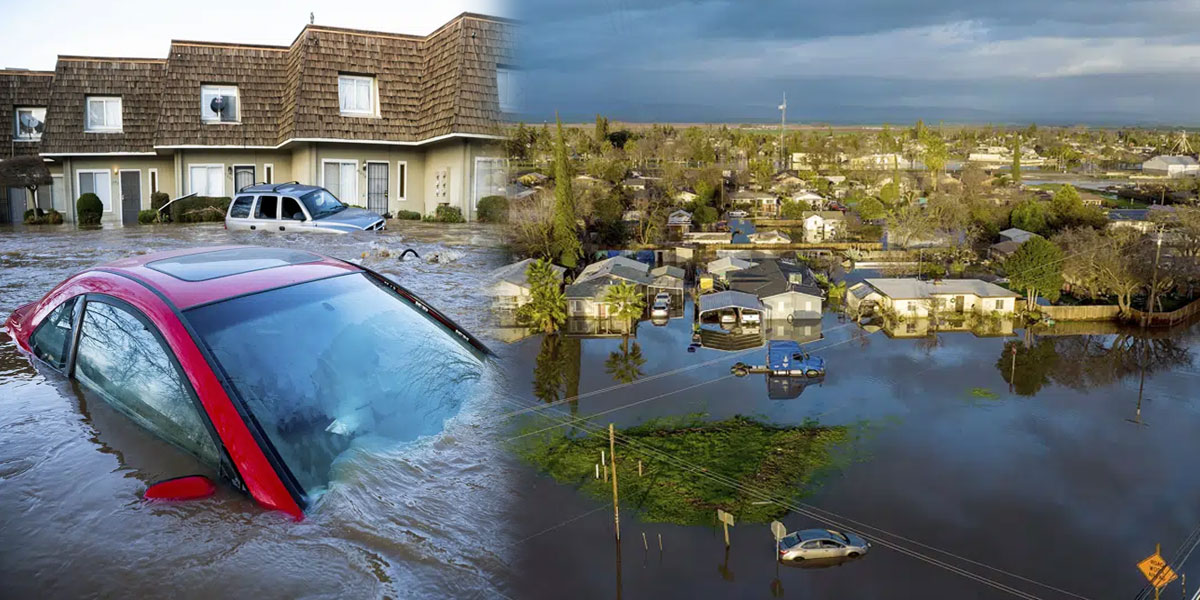 کیلی فورنیا