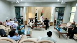 پیپلز پارٹی اور ایم کیو ایم