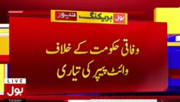 وائٹ پیپر