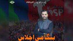 پاک سر زمین پارٹی