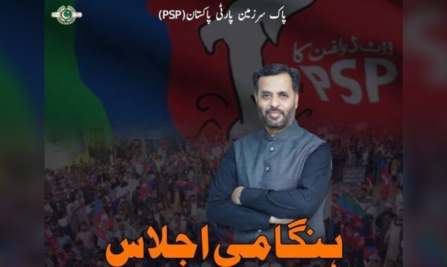 پاک سر زمین پارٹی