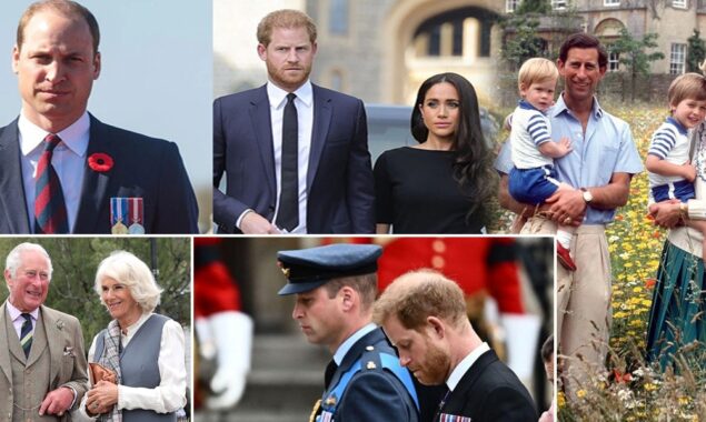 شہزادہ ہیری