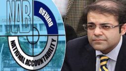 نیب