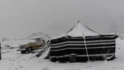 سعودی عرب کے علاقے تبوک اور نیوم میں مسلسل برف باری کا سلسلہ جاری