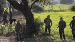 مقبوضہ کشمیر کے علاقے راجوری میں بم دھماکہ، 2 بچے ہلاک 5 زخمی