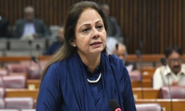 عائشہ غوث پاشا