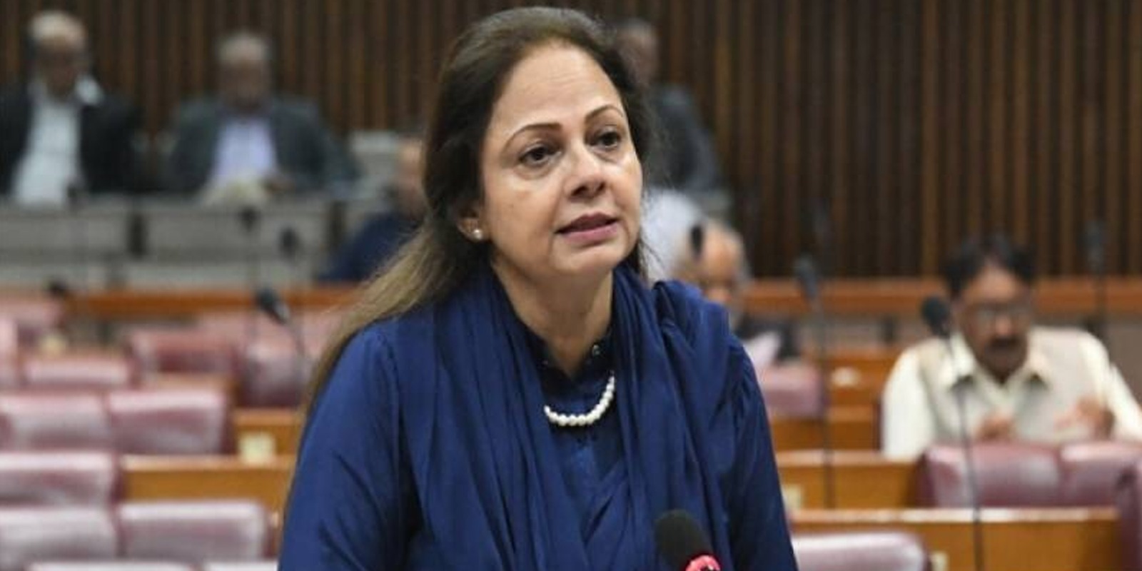 عائشہ غوث پاشا