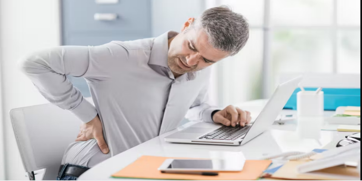 ریڑھ کی ہڈی