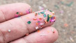 نینوپلاسٹک