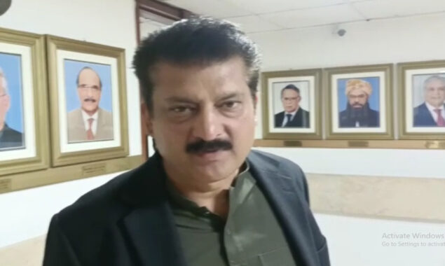 شہزاد وسیم