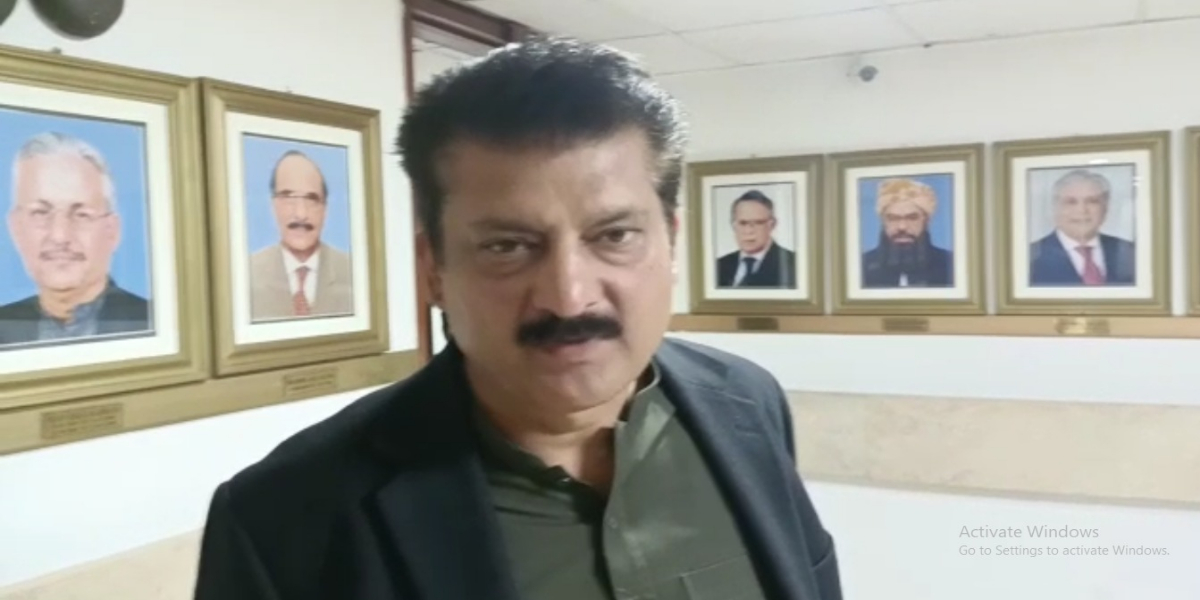 شہزاد وسیم