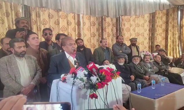 مہتاب عباسی