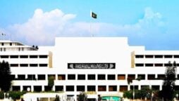 نجکاری