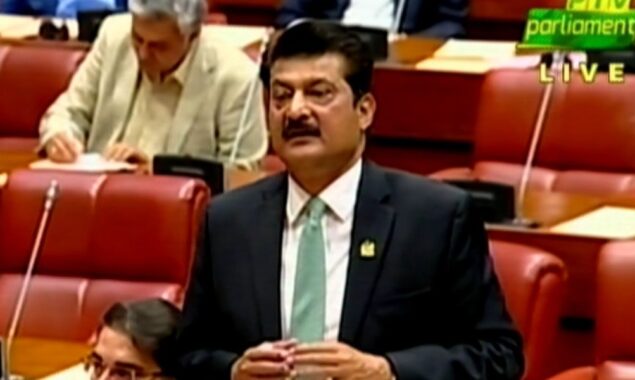 شہزاد وسیم